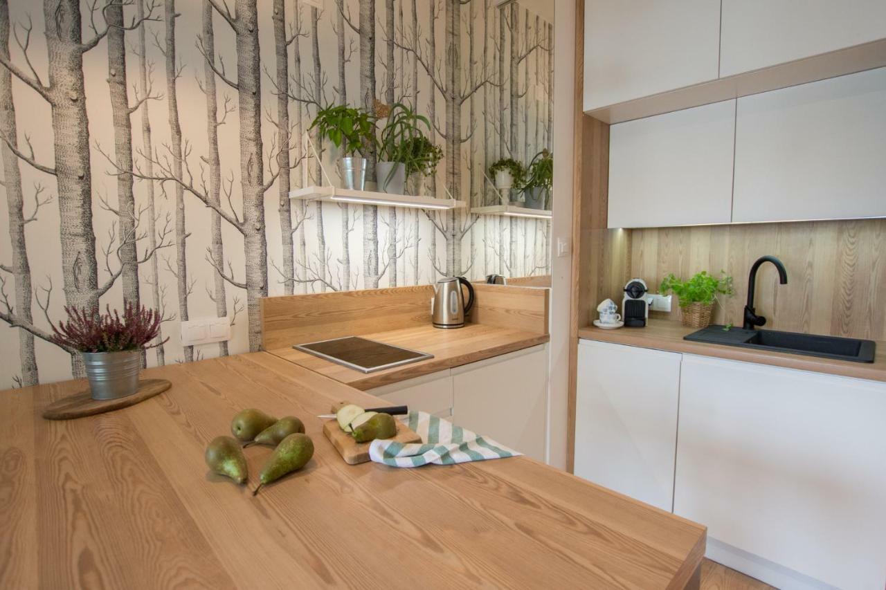 Rakowicka Apartment Krakau Exterior foto